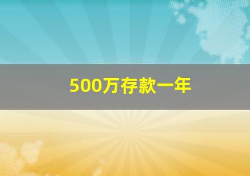 500万存款一年