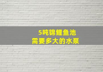 5吨锦鲤鱼池需要多大的水泵