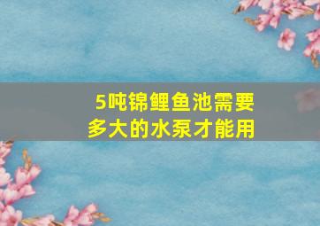 5吨锦鲤鱼池需要多大的水泵才能用