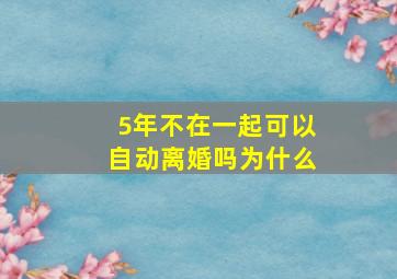 5年不在一起可以自动离婚吗为什么