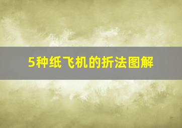 5种纸飞机的折法图解