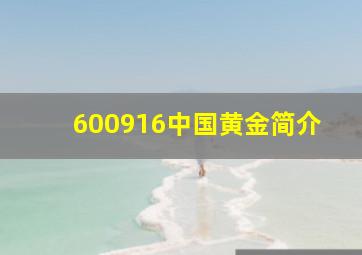 600916中国黄金简介