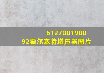 612700190092霍尔塞特增压器图片