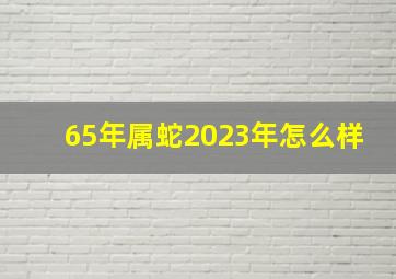 65年属蛇2023年怎么样