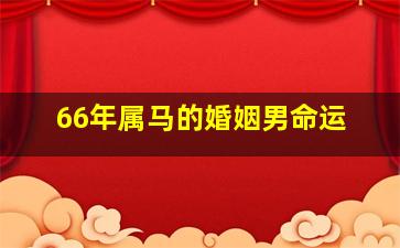 66年属马的婚姻男命运