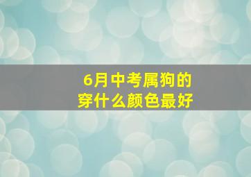 6月中考属狗的穿什么颜色最好