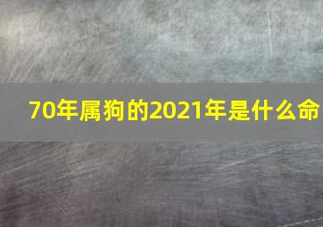 70年属狗的2021年是什么命