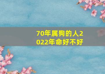 70年属狗的人2022年命好不好