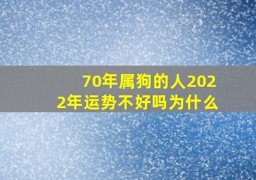 70年属狗的人2022年运势不好吗为什么