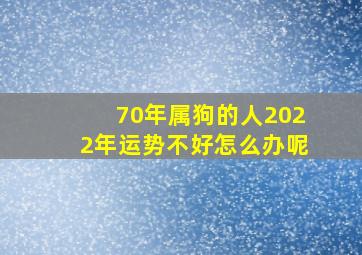 70年属狗的人2022年运势不好怎么办呢