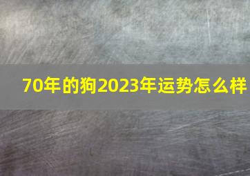 70年的狗2023年运势怎么样