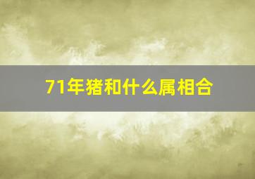 71年猪和什么属相合