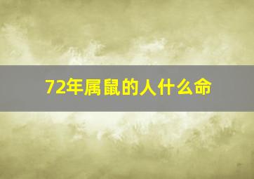 72年属鼠的人什么命