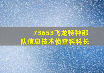 73653飞龙特种部队信息技术侦查科科长