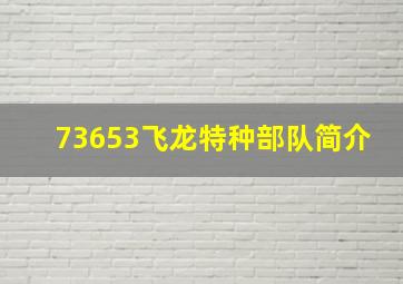 73653飞龙特种部队简介