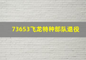 73653飞龙特种部队退役