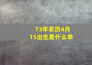 73年农历4月15出生是什么命