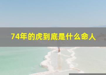 74年的虎到底是什么命人