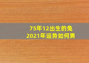 75年12出生的兔2021年运势如何男