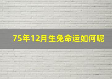 75年12月生兔命运如何呢