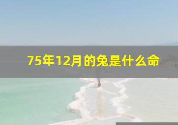 75年12月的兔是什么命