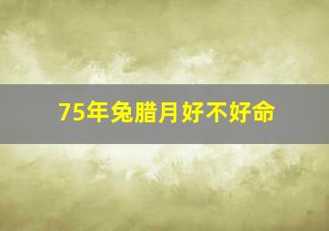 75年兔腊月好不好命