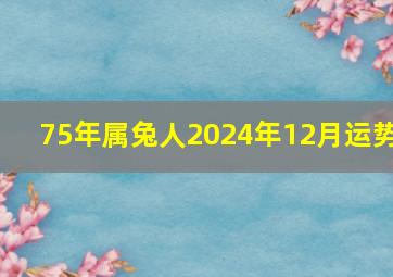 75年属兔人2024年12月运势