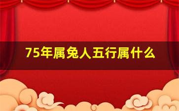 75年属兔人五行属什么