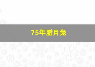 75年腊月兔