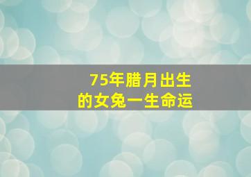 75年腊月出生的女兔一生命运