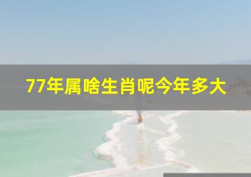 77年属啥生肖呢今年多大