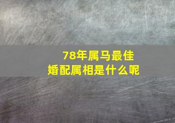 78年属马最佳婚配属相是什么呢