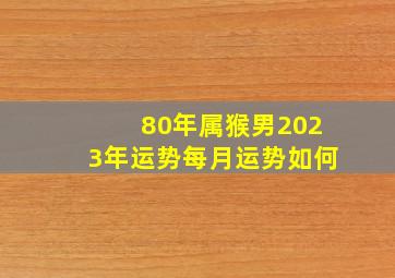 80年属猴男2023年运势每月运势如何