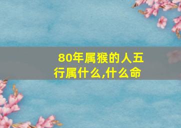 80年属猴的人五行属什么,什么命