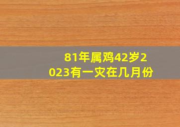 81年属鸡42岁2023有一灾在几月份