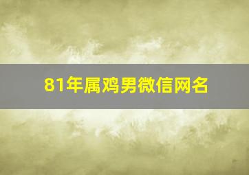 81年属鸡男微信网名