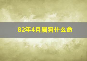 82年4月属狗什么命