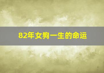 82年女狗一生的命运