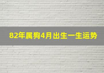 82年属狗4月出生一生运势