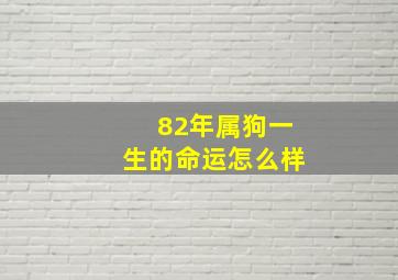 82年属狗一生的命运怎么样