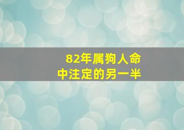 82年属狗人命中注定的另一半