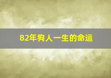 82年狗人一生的命运