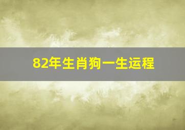 82年生肖狗一生运程