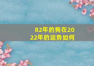 82年的狗在2022年的运势如何