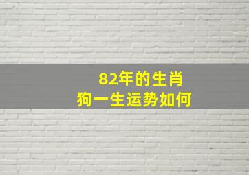 82年的生肖狗一生运势如何