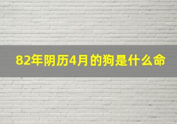 82年阴历4月的狗是什么命