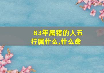 83年属猪的人五行属什么,什么命