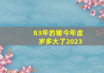 83年的猪今年虚岁多大了2023