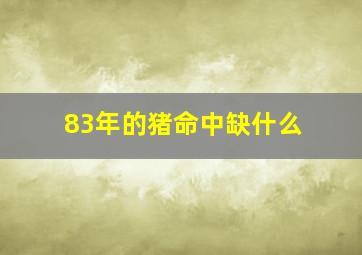 83年的猪命中缺什么