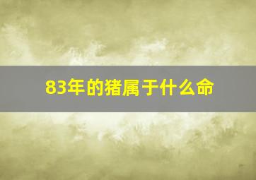 83年的猪属于什么命